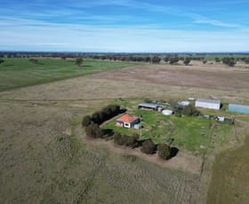 Rural / Farming commercial property sold at 'Awana', 2655 Tubbul Road Young NSW 2594