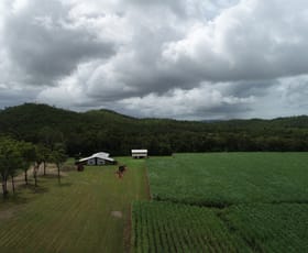 Rural / Farming commercial property sold at 264 One Mile Creek Road Mount Pelion QLD 4741
