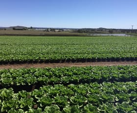 Rural / Farming commercial property for sale at 189 Toowoomba-Karara Road Finnie QLD 4350