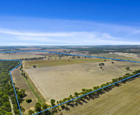 Rural / Farming commercial property sold at 337 & 621 Taylors Road Tocumwal NSW 2714