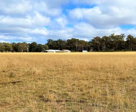 Rural / Farming commercial property sold at 2754 Henry Lawson Drive Gulgong NSW 2852