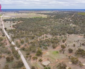 Rural / Farming commercial property sold at 452 Merungle Hill Road Leeton NSW 2705