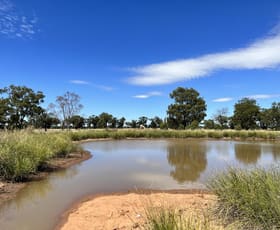 Rural / Farming commercial property sold at Bruie Plains Road Bruie Plains NSW 2875