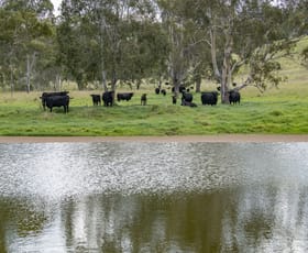 Rural / Farming commercial property sold at 30 Lucas Road Upper Yarraman QLD 4614