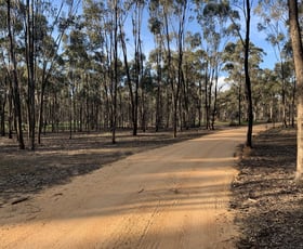 Rural / Farming commercial property for sale at Misery Road Beazleys Bridge VIC 3477