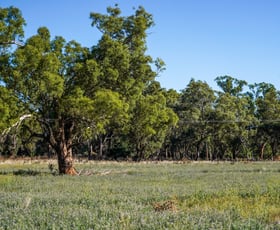 Rural / Farming commercial property sold at 434 Curra Creek Road Wellington NSW 2820