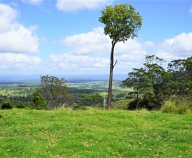 Rural / Farming commercial property for sale at Lot 47 - 807 Tunglebung Creek Road Casino NSW 2470