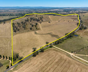 Rural / Farming commercial property sold at 714 Darbys Falls Road Cowra NSW 2794