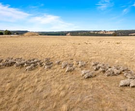 Rural / Farming commercial property sold at 883 Buninyong Mount Mercer Road Garibaldi VIC 3352