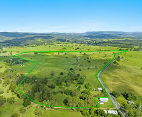 Rural / Farming commercial property for sale at 4355 Bruxner Highway Piora NSW 2470