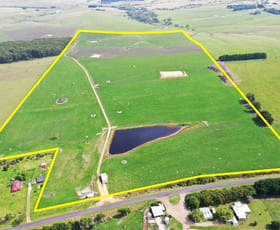 Rural / Farming commercial property sold at 384 Melrose Road Cooriemungle VIC 3268