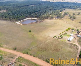 Rural / Farming commercial property sold at 558 Patrick Road Dunedoo NSW 2844