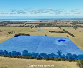 Rural / Farming commercial property for sale at Lot 2/360 Bosses Road Lucknow VIC 3875
