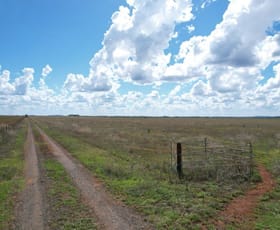 Rural / Farming commercial property sold at 78 ACRES GRAZING / FARMING Aubigny QLD 4401