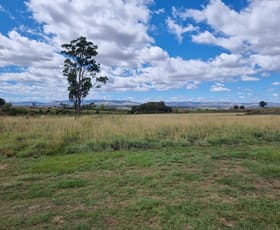 Rural / Farming commercial property sold at "Wongawilli" 796 Neible Road Coolah NSW 2843