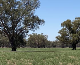 Rural / Farming commercial property sold at 2 Kelvin Lane Forbes NSW 2871