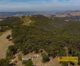 Rural / Farming commercial property sold at 1092 Aarons Pass Road Mudgee NSW 2850