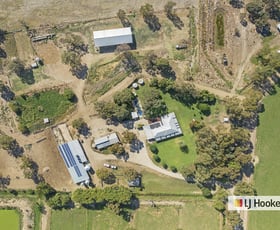 Rural / Farming commercial property for sale at 17A 60 McNaught Road Patho Echuca VIC 3564