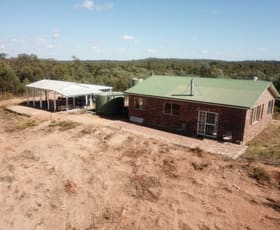 Rural / Farming commercial property for sale at 3715 Wyuna Road Rocky Glen NSW 2357