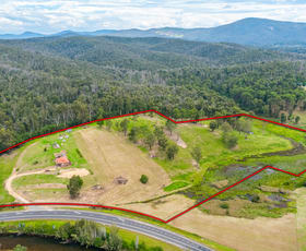 Rural / Farming commercial property for sale at 1033 Kings Highway Nelligen NSW 2536