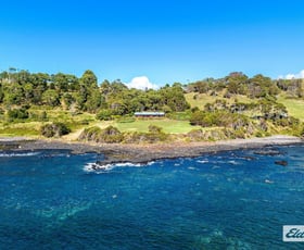 Rural / Farming commercial property for sale at 17286 Bass Highway Boat Harbour TAS 7321