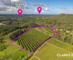 Rural / Farming commercial property for sale at Lot 10, RP801930 Barrs Road Glass House Mountains QLD 4518