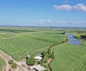 Rural / Farming commercial property for sale at 67 Hillier Road Brandon QLD 4808