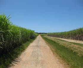 Rural / Farming commercial property for sale at Bilyana QLD 4854