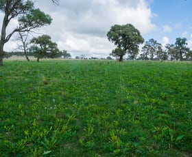 Rural / Farming commercial property sold at 'Strathaven' 1289 Oxley Highway Walcha NSW 2354