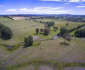 Rural / Farming commercial property sold at * Anderson Road Glen Innes NSW 2370