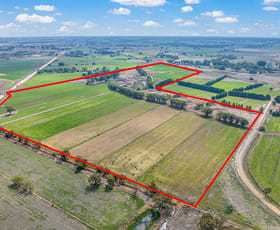 Rural / Farming commercial property sold at 622 Murphy Road Tongala VIC 3621