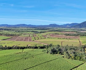 Rural / Farming commercial property for sale at Lot 21 241 Wintons Road Yalboroo QLD 4741