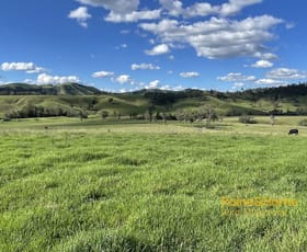 Rural / Farming commercial property sold at 732 Bucketts Way East Gloucester NSW 2422