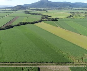 Rural / Farming commercial property sold at 2 Blair Road Myrtlevale QLD 4800