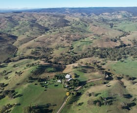 Rural / Farming commercial property sold at 80 Palmers Oakey Road Palmers Oaky NSW 2795