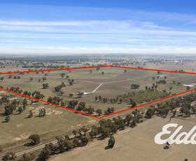 Rural / Farming commercial property for sale at Savernake Road Mulwala NSW 2647