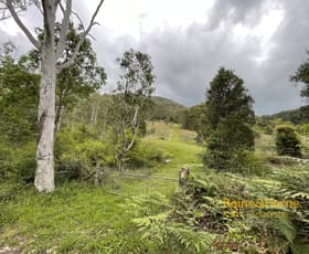 Rural / Farming commercial property sold at Lots 131 & 117 Bowman River Road, Bowman via Gloucester NSW 2422