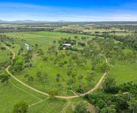 Rural / Farming commercial property sold at 79 Hallam Road Nine Mile QLD 4702