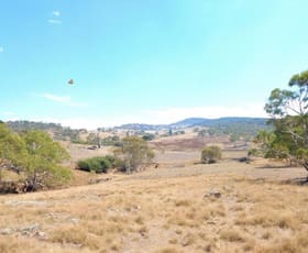 Rural / Farming commercial property for sale at Lot 354 & Lot 1 Maffra Road Cooma NSW 2630