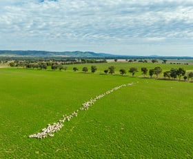 Rural / Farming commercial property sold at 299 Allans Road Wattamondara NSW 2794