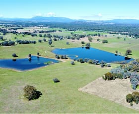 Rural / Farming commercial property sold at 1613 Great Alpine Road Tarrawingee VIC 3678