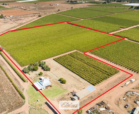 Rural / Farming commercial property for sale at 207 Fifth Street Merbein VIC 3505