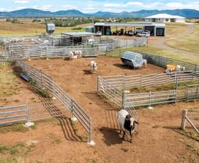 Rural / Farming commercial property for sale at Lower Wonga QLD 4570