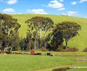 Rural / Farming commercial property for sale at 0 Corner Glenelg Highway - Den Hills Road Coleraine VIC 3315