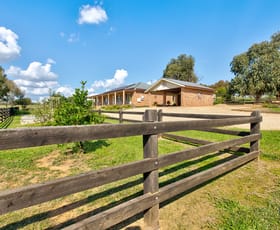Rural / Farming commercial property sold at 152 Golden Grove Road Young NSW 2594