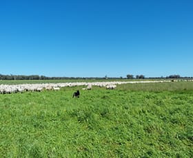 Rural / Farming commercial property for sale at 0 Lachlan View Forbes NSW 2871