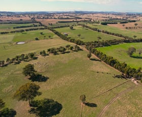 Rural / Farming commercial property sold at Rockdale 1512 Wargeila Road Yass NSW 2582