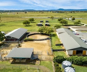 Rural / Farming commercial property for sale at 7586 Mt Lindesay Highway Beaudesert QLD 4285