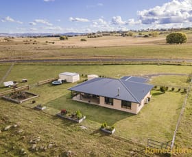 Rural / Farming commercial property for sale at 389 Red Range Road Glen Innes NSW 2370