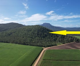 Rural / Farming commercial property for sale at Lot 6 Broadwater Park Road Dalrymple Creek QLD 4850